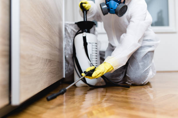 Best Pest Removal Services  in Ponchatou, LA