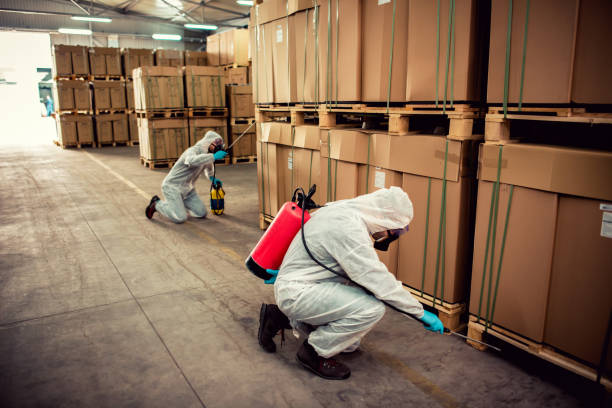 Best Cockroach Control Services  in Ponchatou, LA