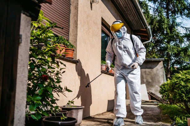 Best Flea Control Services  in Ponchatou, LA