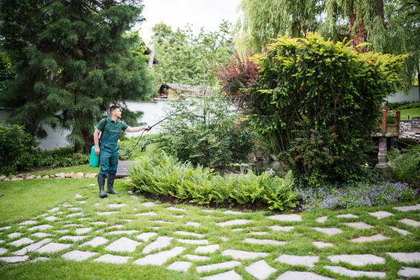 Best Pest Control Treatment  in Ponchatou, LA