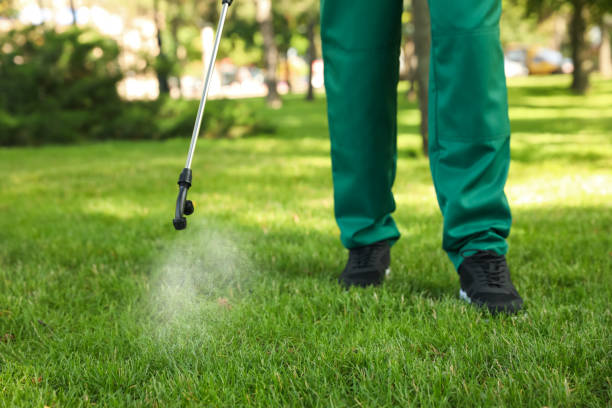 Best Best Pest Control Companies  in Ponchatou, LA