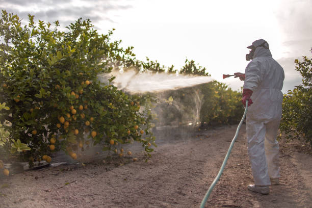 Best Cockroach Control Services  in Ponchatou, LA