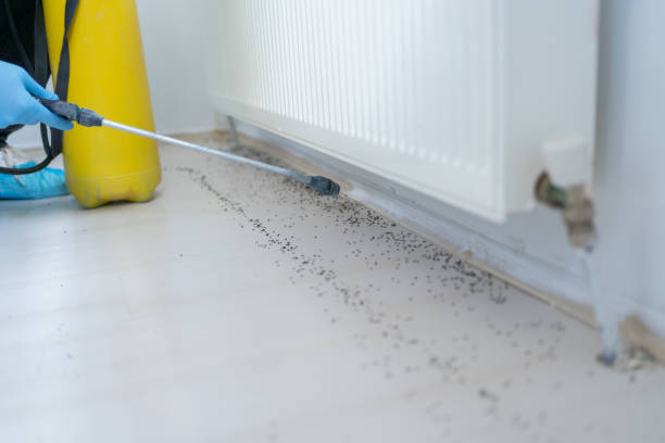 Insect Control in Ponchatoula, LA
