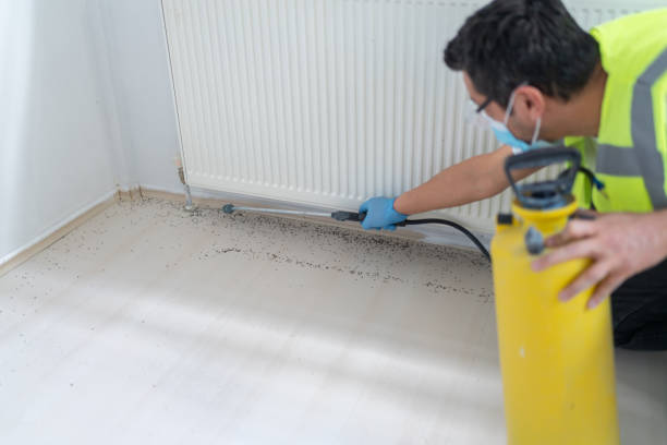 Best Affordable Pest Control Services  in Ponchatou, LA