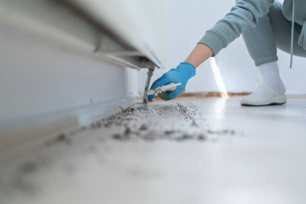 Best Bed Bug Extermination  in Ponchatou, LA