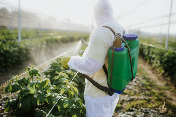 Flea Control Services in Ponchatoula, LA